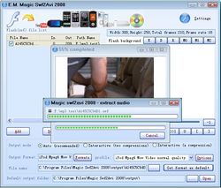 Magic Swf2Avi 2008